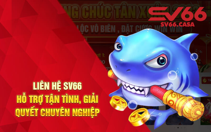 Liên Hệ SV66 - Hỗ Trợ Tận Tình, Giải Quyết Chuyên Nghiệp