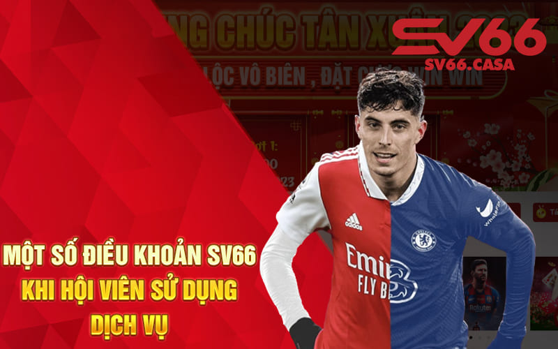Một số điều khoản SV66 khi hội viên sử dụng dịch vụ