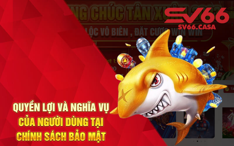 Quyền lợi và nghĩa vụ của người dùng tại chính sách bảo mật sv66