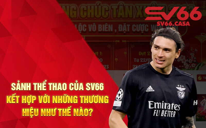 Sảnh thể thao của SV66 kết hợp với những thương hiệu như thế nào?