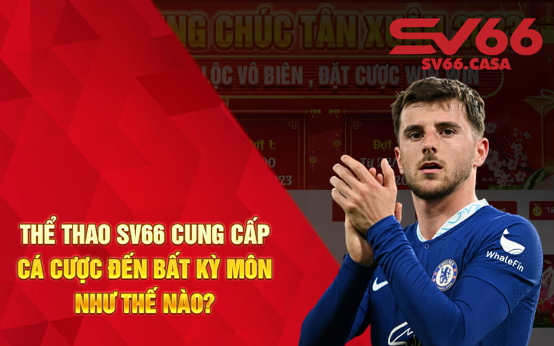 Thể thao SV66 cung cấp cá cược đến bất kỳ môn như thế nào?